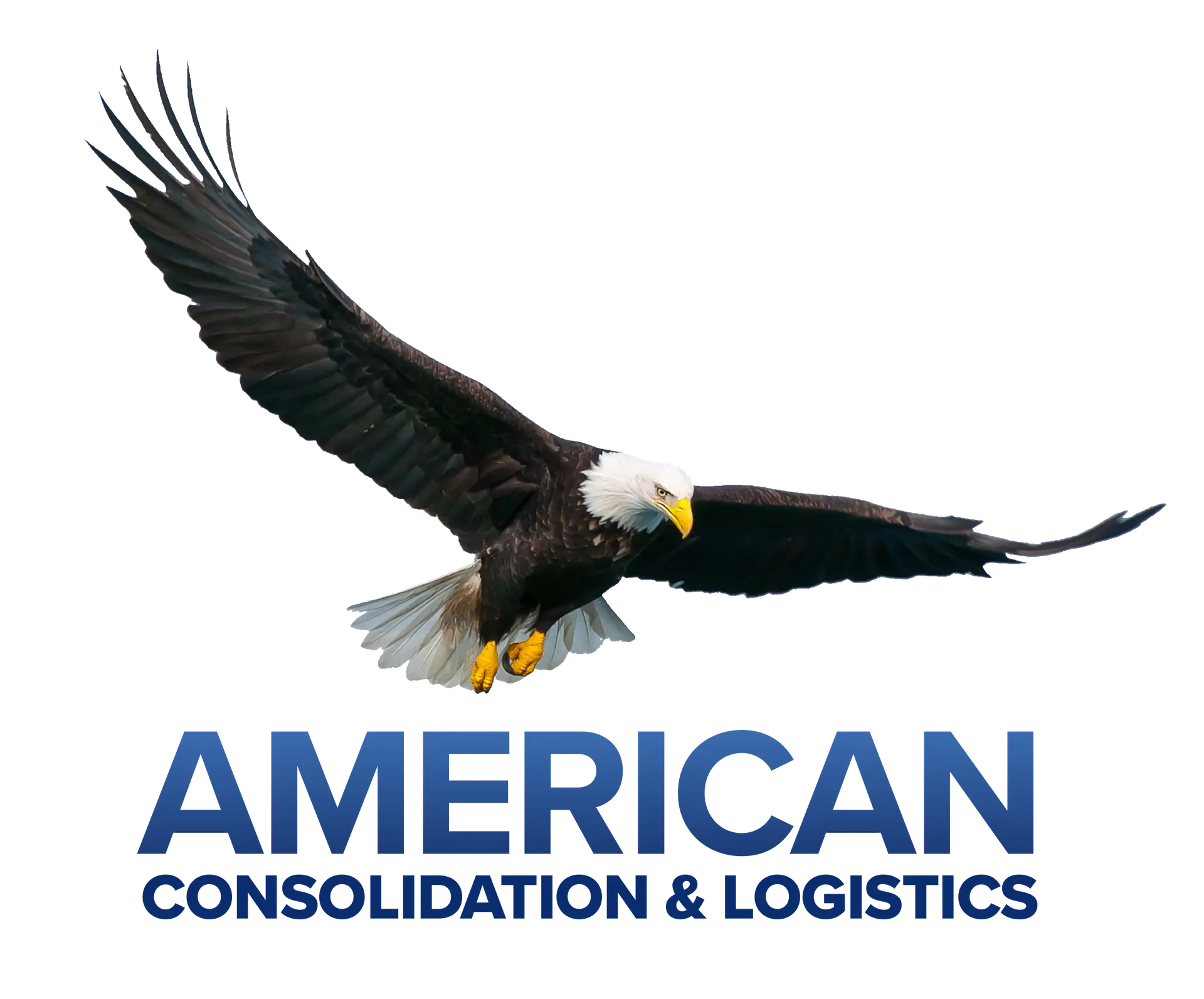 American Consolidation and Logistics